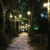 100m ES Festoon, 3m Spacing with 16A Plug and Socket